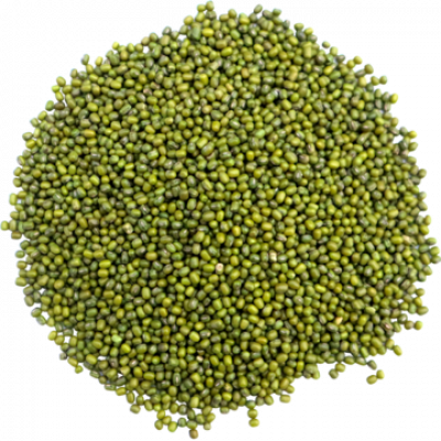 பச்சை பயிறு / PachaPayiru - Moong Green